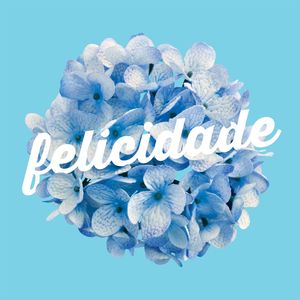 FELICIDADE AZUL