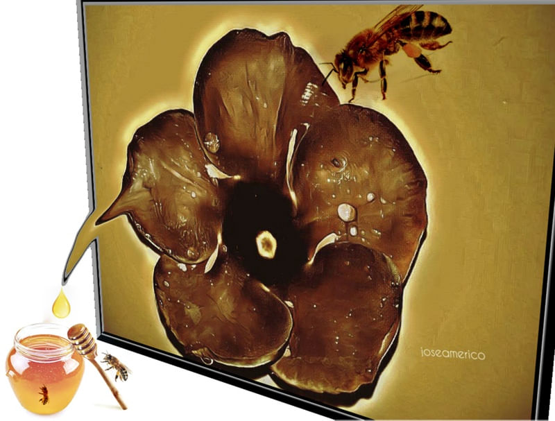MEL DE FLOR