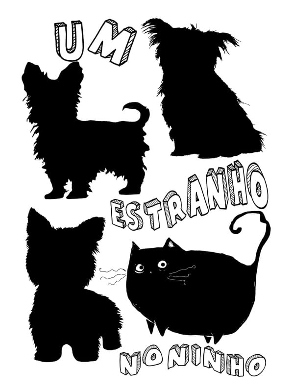 UM ESTRANHO NO NINHO
