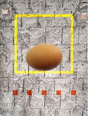 EGG 3