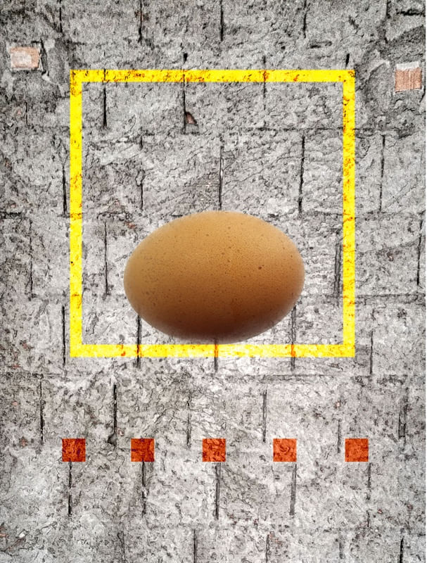 EGG 3