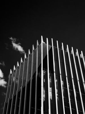 ARQUITETURA MONOCROMÁTICA
