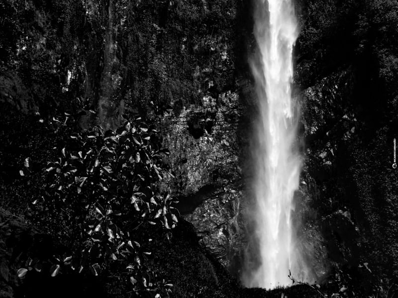ITIQUIRA