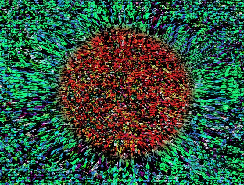 GIRASSOL ABSTRATO