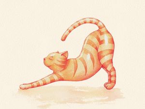 YOGA CAT