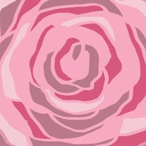 COR DE ROSA ROSA