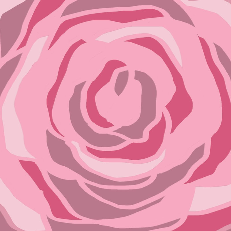 COR DE ROSA ROSA