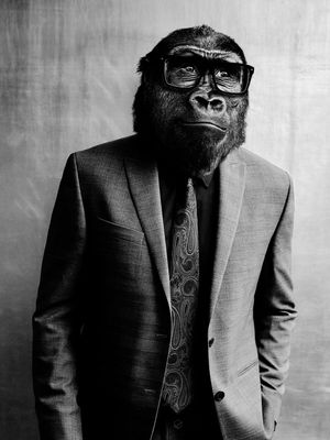 MONKEY BUSINESS