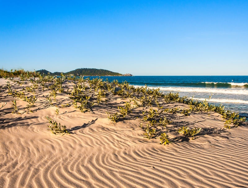 AREIA DO MAR