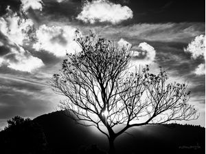 OUTONO INVERNO EM FLORIANÓPOLIS