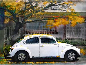 FUSCA NA PRIMAVERA