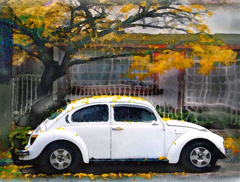 FUSCA NA PRIMAVERA