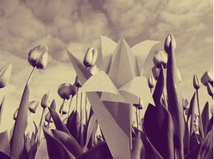 TULIPA PAPER