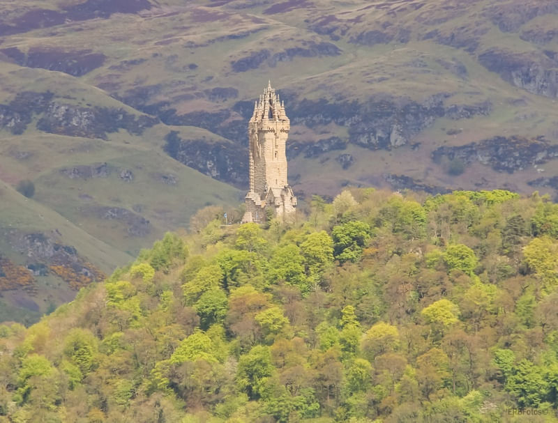WALLACE MONUMENT