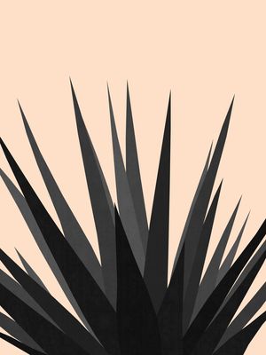 PLANTA TROPICAL