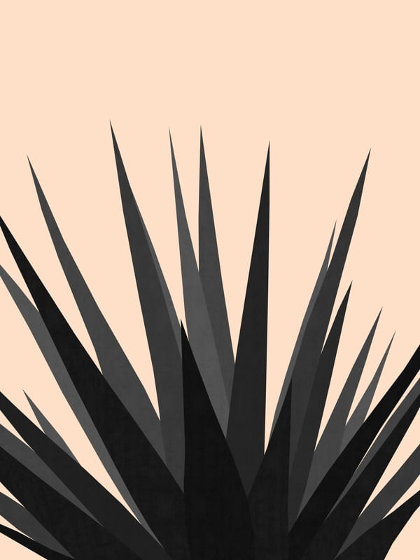 PLANTA TROPICAL