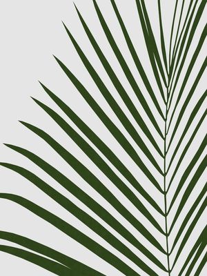PLANTA TROPICAL I