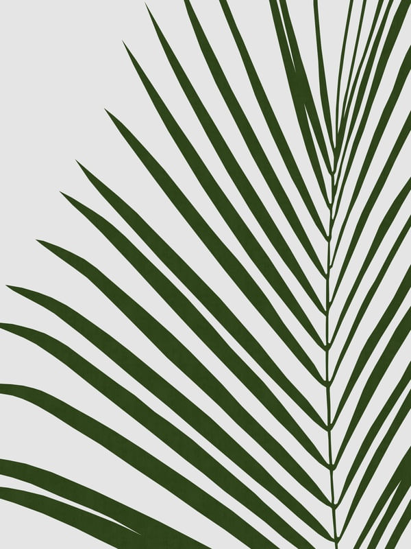 PLANTA TROPICAL I