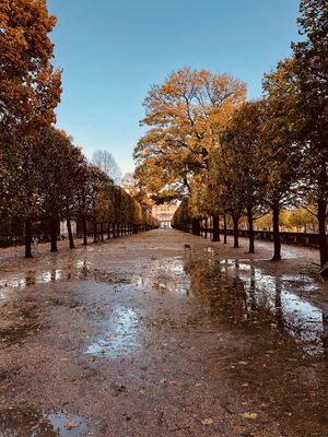 PARIS BY SCHIEFFERDECKER