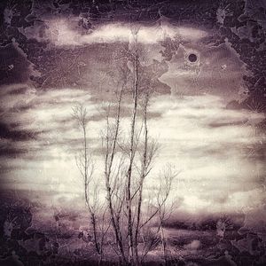 BOSCH MISTY