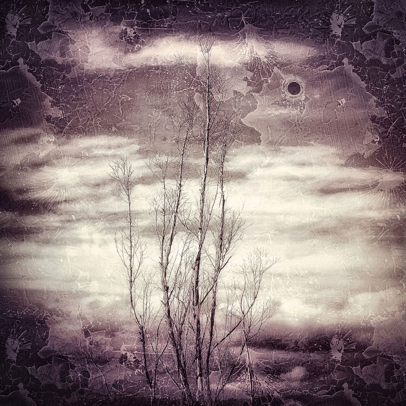 BOSCH MISTY