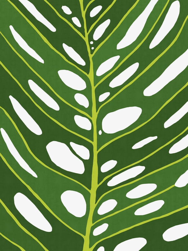 PLANTA TROPICAL III