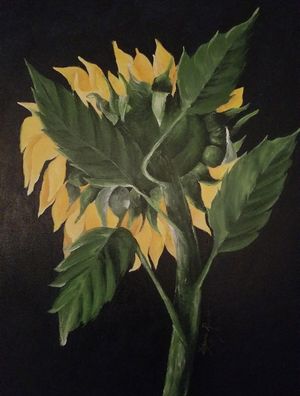 SUNFLOWERS