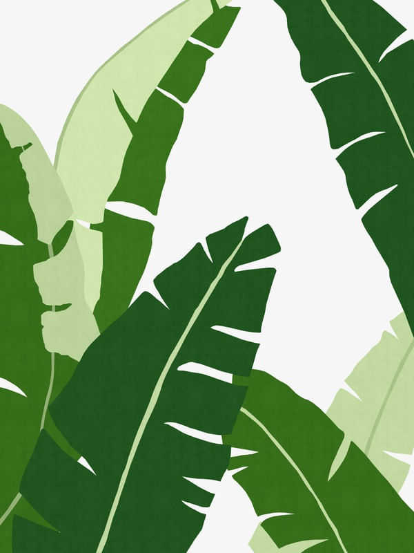 PLANTA TROPICAL IV