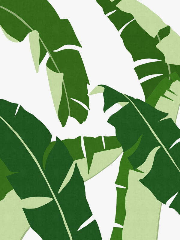 PLANTA TROPICAL V