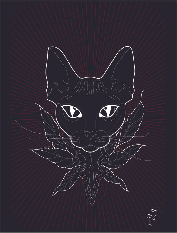 BLACK KAT