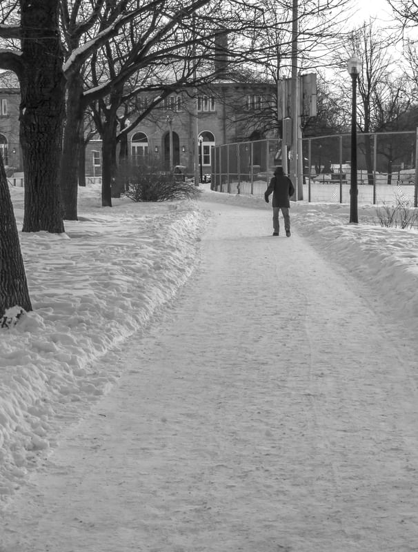 WINTER WALK