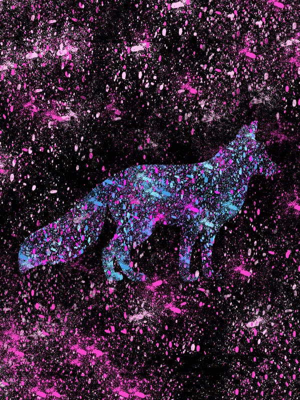 COSMIC FOX