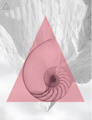 ENTROPY