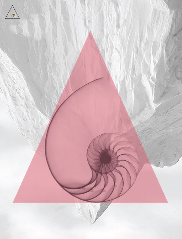 ENTROPY