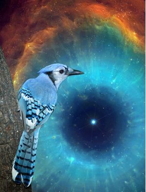 UNIVERSO AZUL