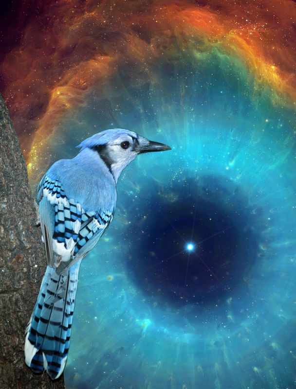 UNIVERSO AZUL
