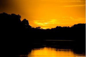 POR DO SOL AMAZONIA