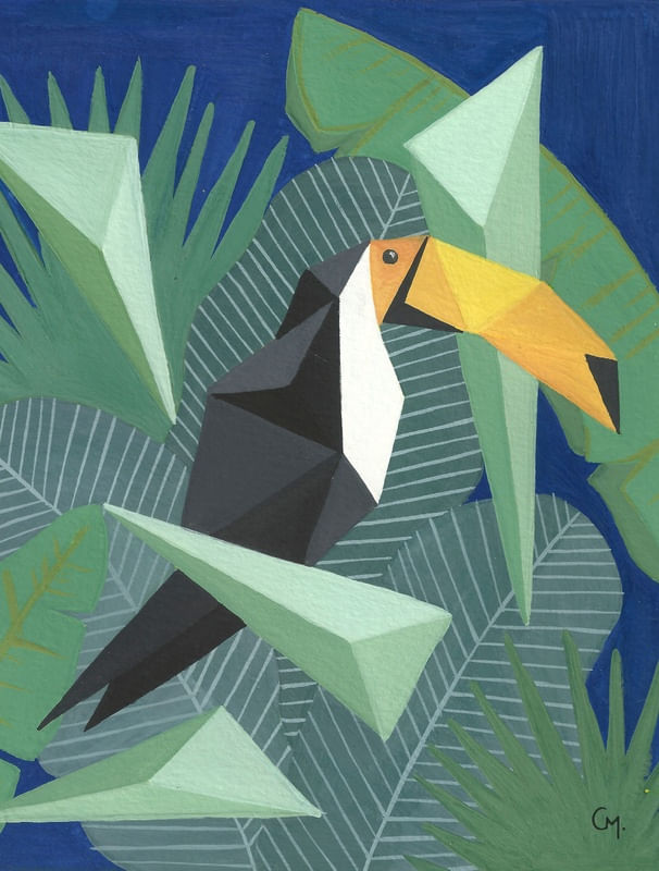 TUCANO TRIANGULAR