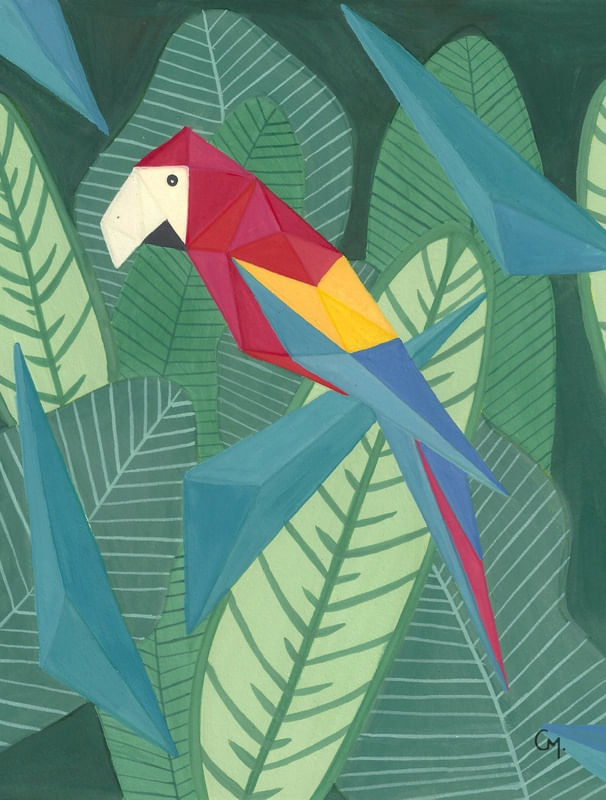 ARARA TRIANGULAR