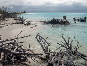 TEMPESTADE NO CARIBE