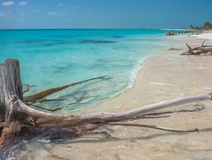 PLAYA PARAÍSO