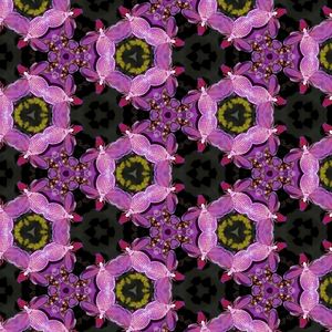 PAPEL DE PAREDE 1
