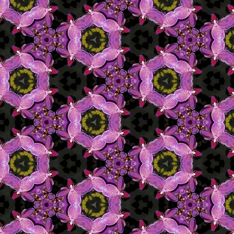 PAPEL DE PAREDE 1