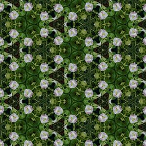 PAPEL DE PAREDE 3