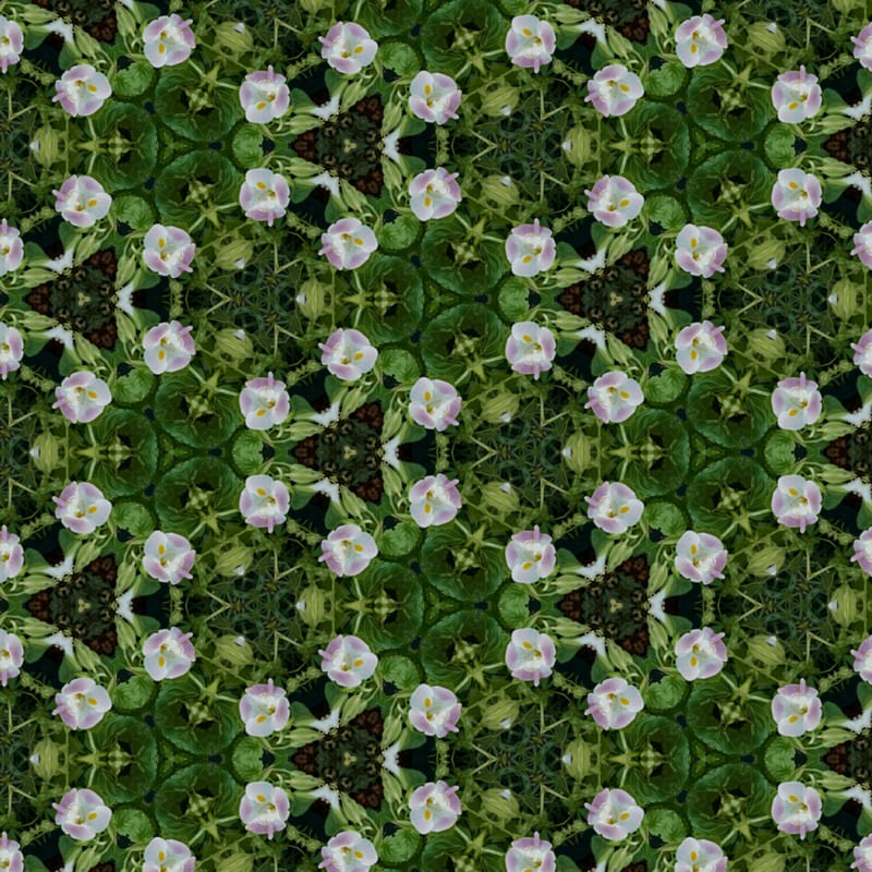 PAPEL DE PAREDE 3