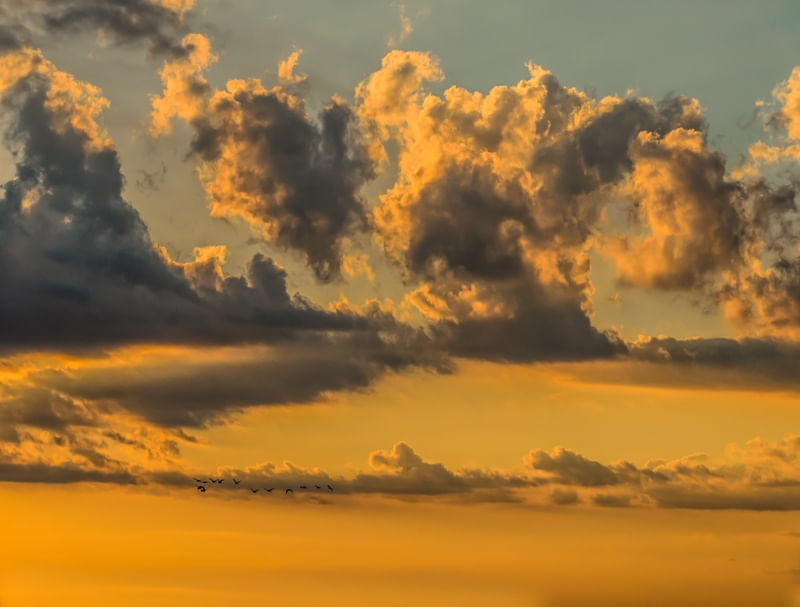 REVOADA AO ENTARDECER