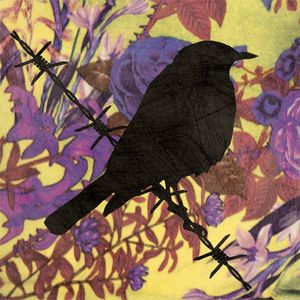 BIRDS FLORAL 3