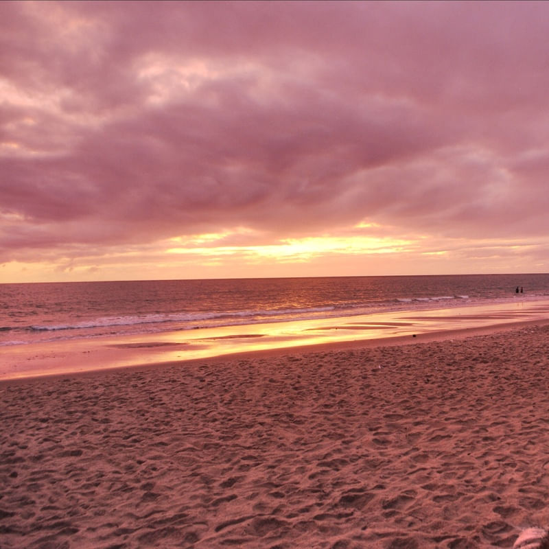 PINK NATURE