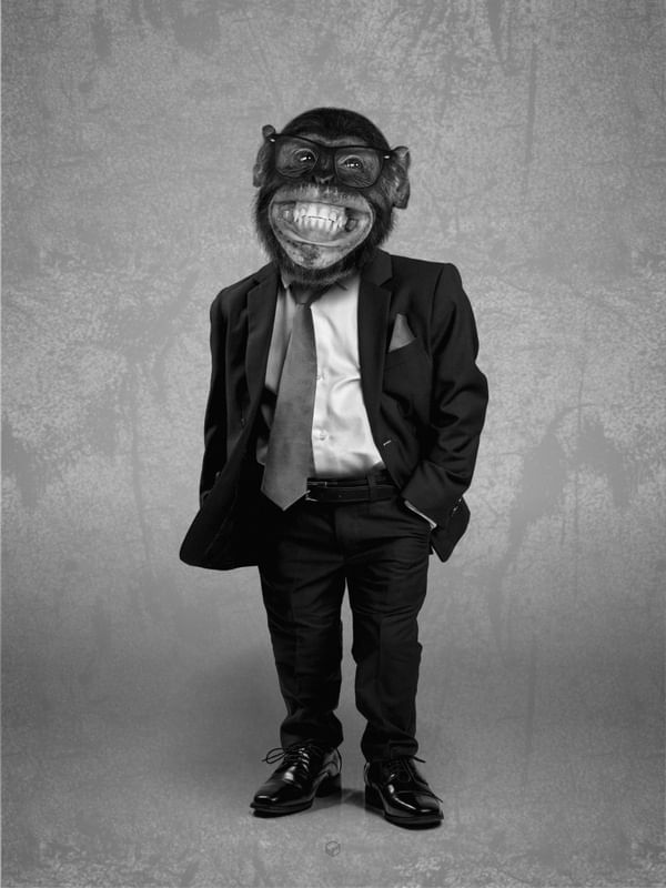 MONKEY BUSINESS II