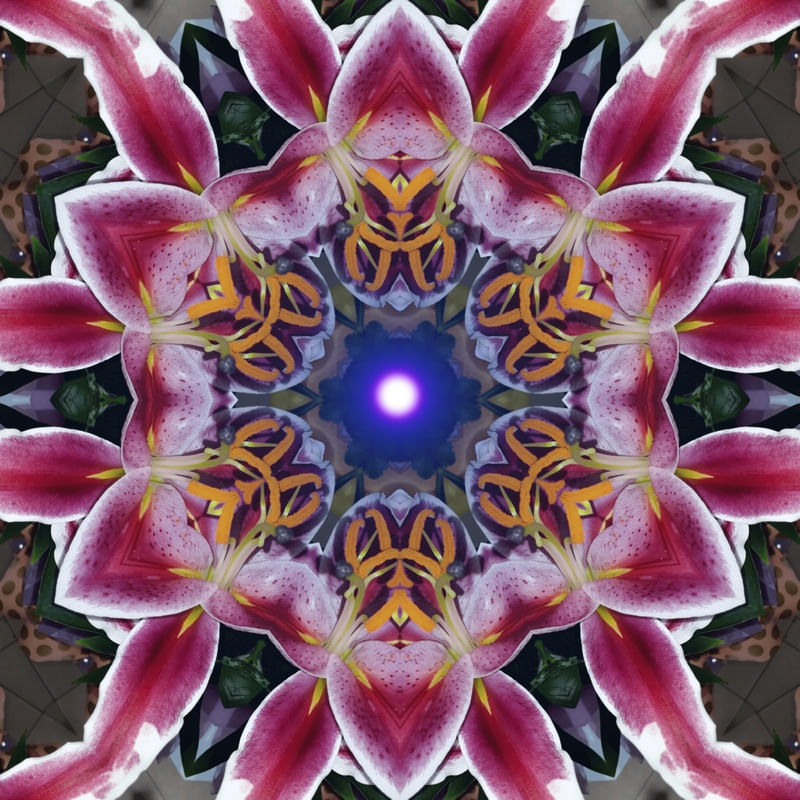 COXIM ROSA